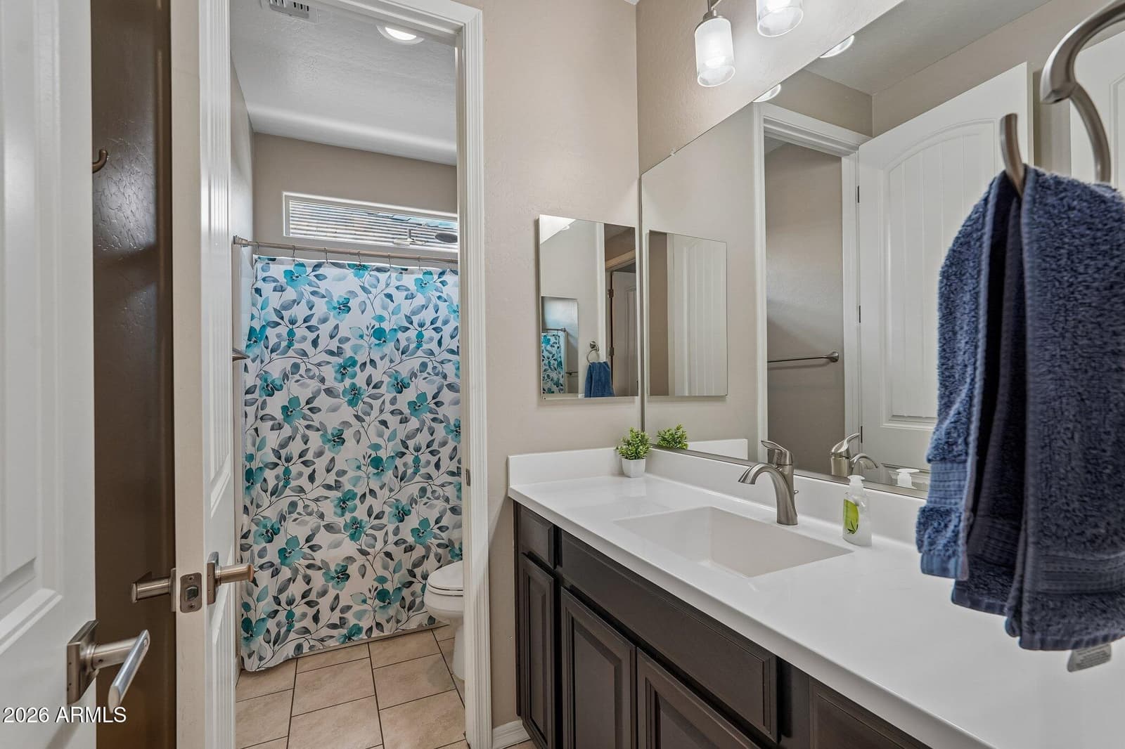 5409 W Lydia Lane, Laveen, AZ 85339 — photo 34 of 48