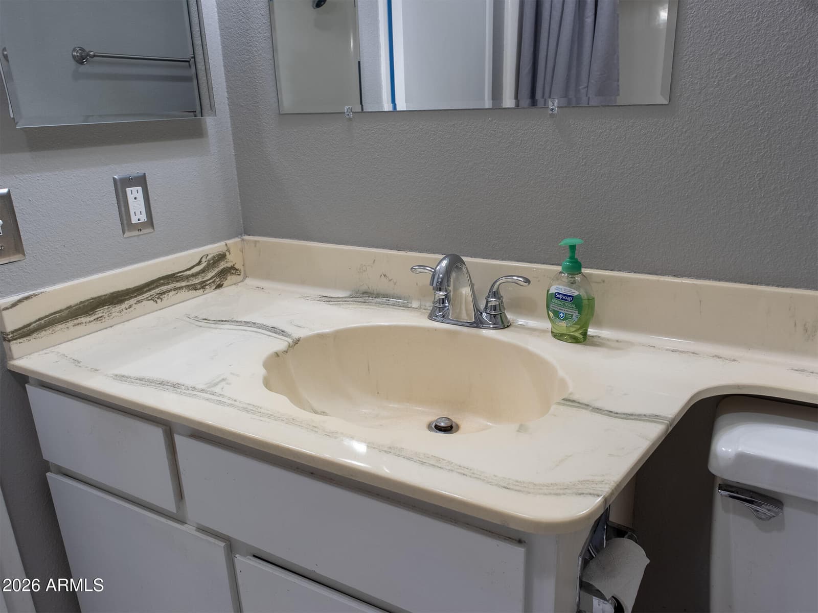 10020 W Royal Oak Road E, Sun City, AZ 85351 — photo 18 of 20