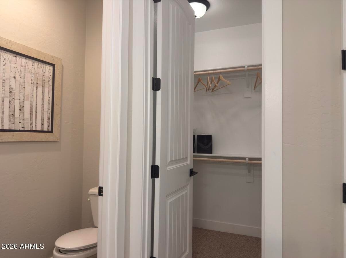 39995 W Wolf Drive, Maricopa, AZ 85138 — photo 12 of 31