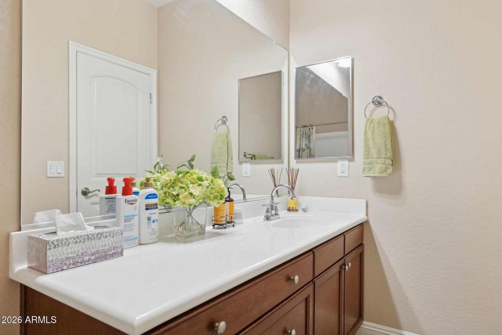 1311 E Barrett Drive, San Tan Valley, AZ 85143 — photo 47 of 59
