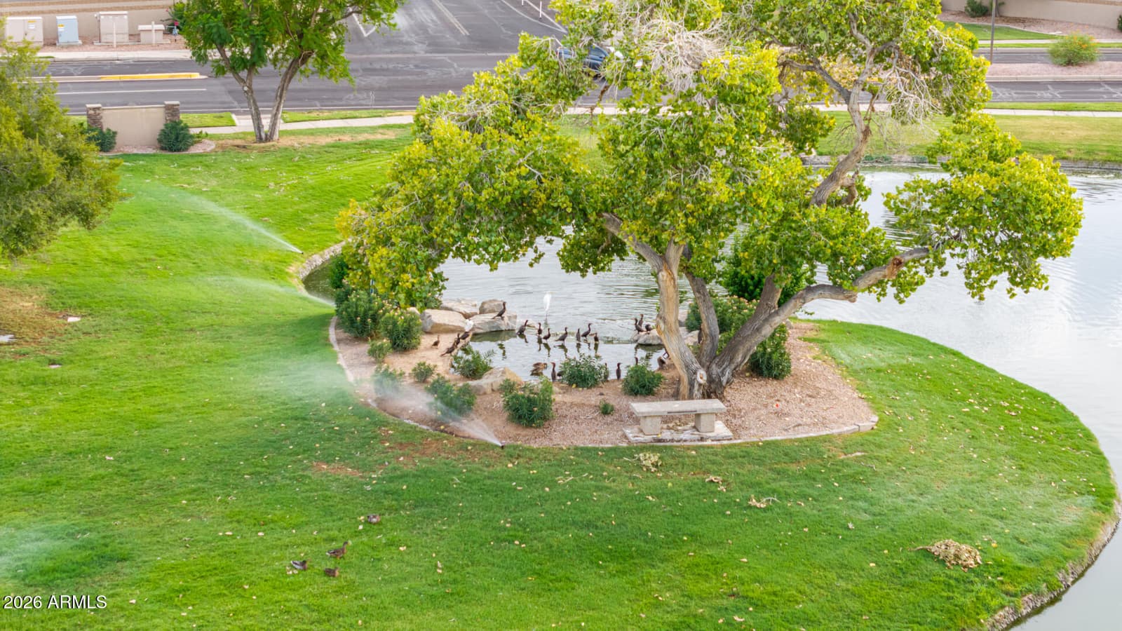 2392 W Rockrose Way, Chandler, AZ 85248 — photo 49 of 50