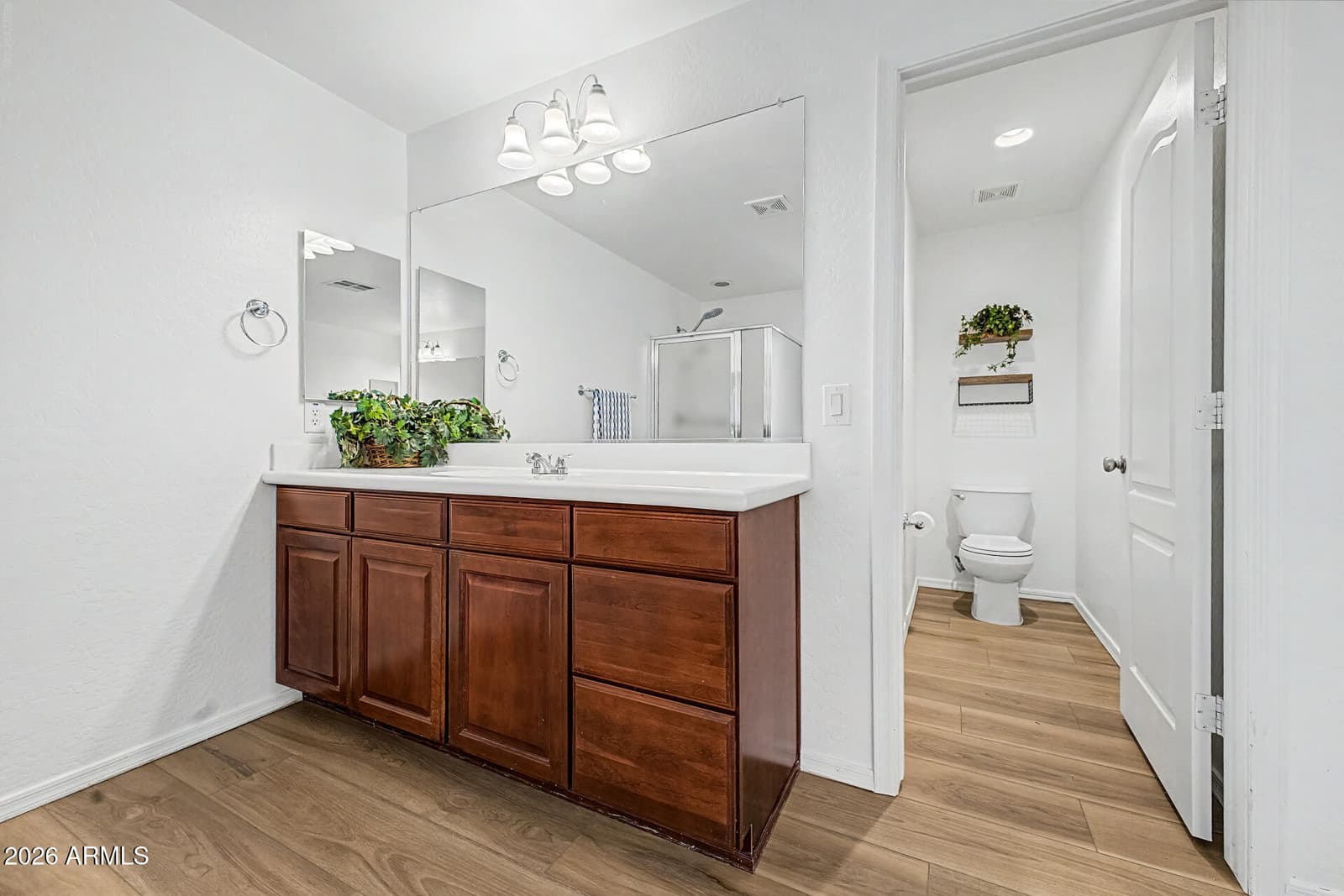 7832 W Molly Drive, Peoria, AZ 85383 — photo 39 of 50