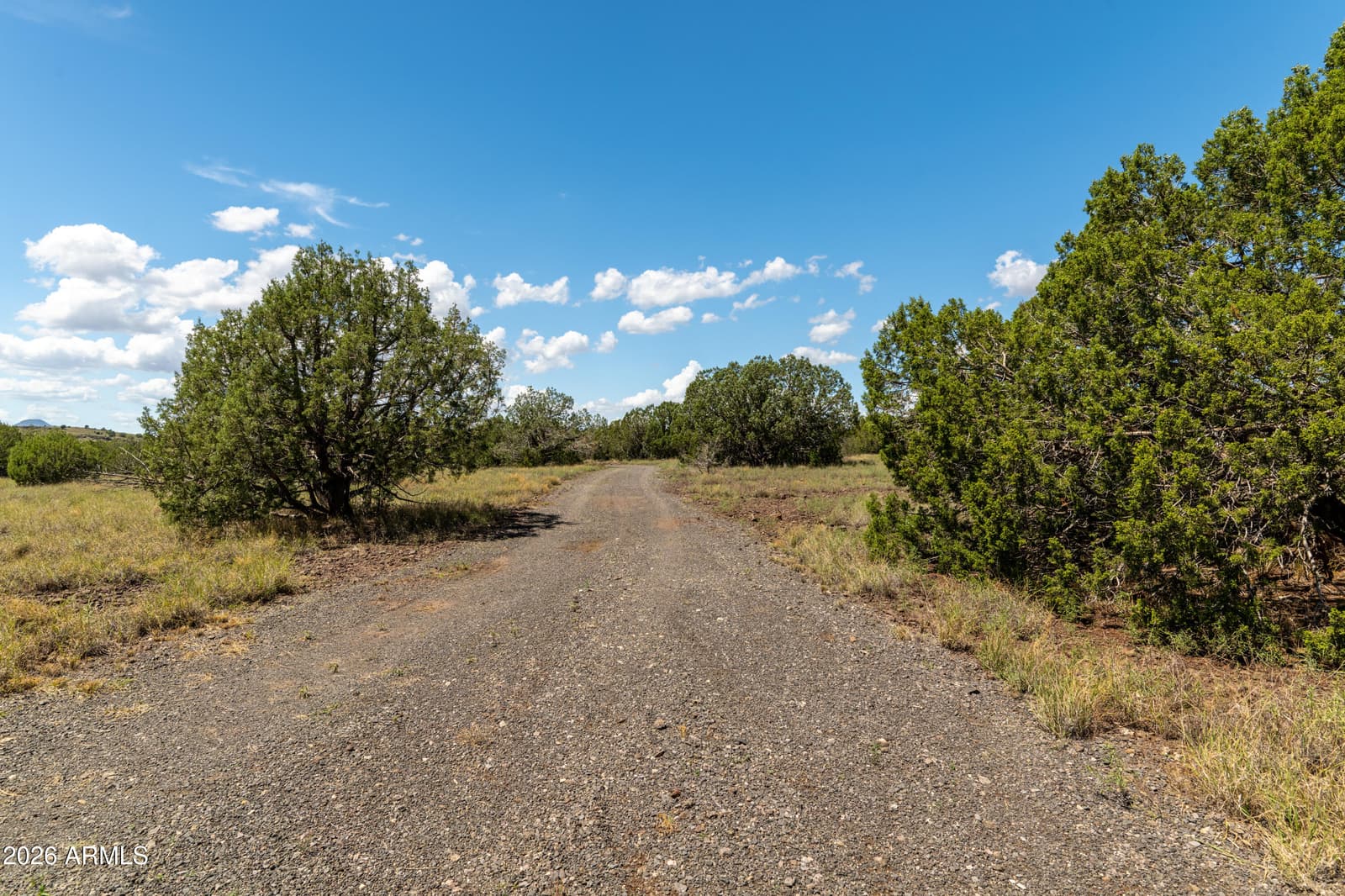 2945 Muriel Drive, Williams, AZ 86046 — photo 11 of 45