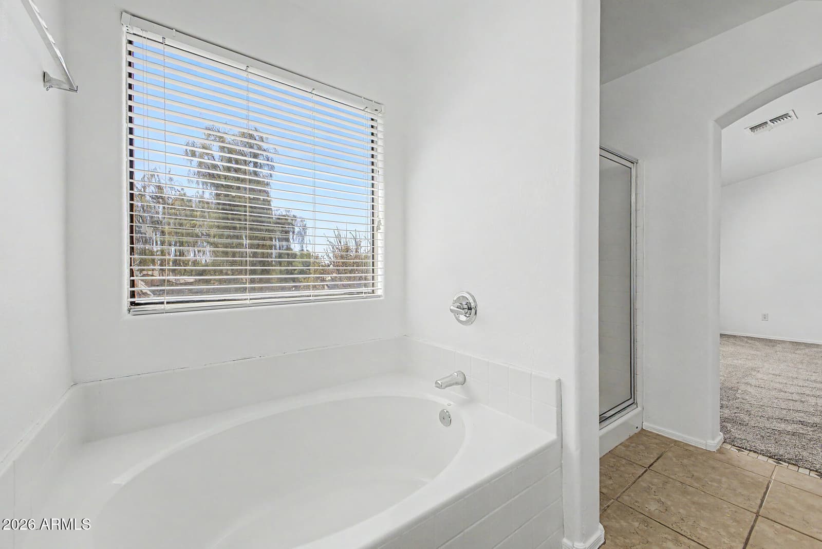 23210 S 216th Street, Queen Creek, AZ 85142 — photo 20 of 39