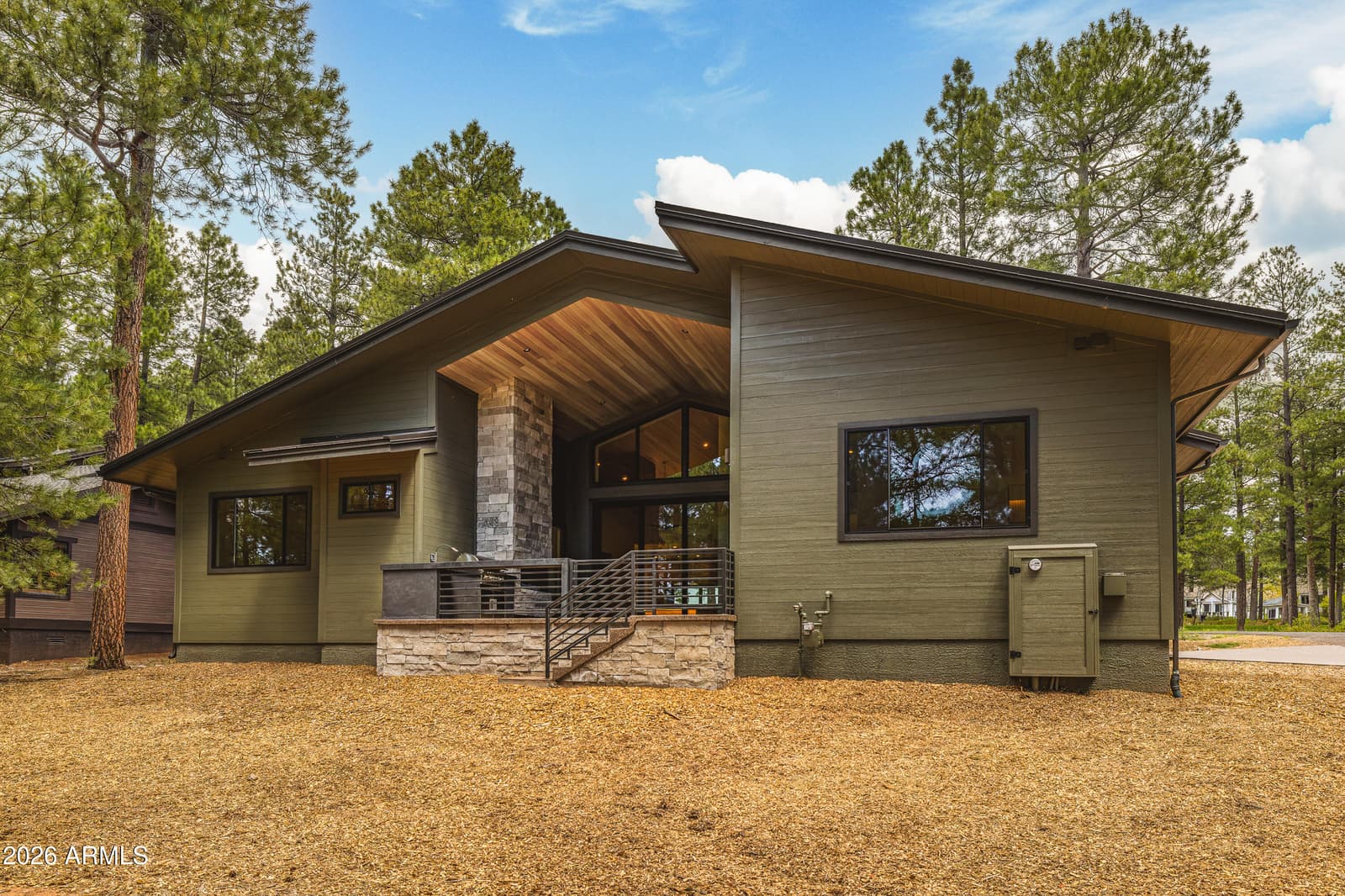 2433 Link Smith, Flagstaff, AZ 86005 — photo 3 of 103