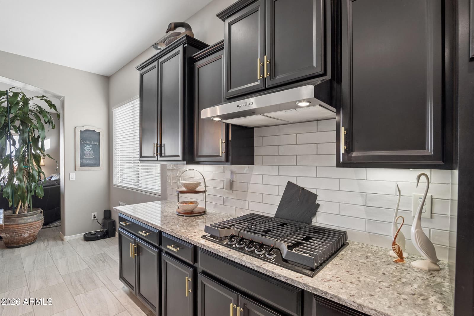 12069 S 183rd Drive, Goodyear, AZ 85338 — photo 13 of 91