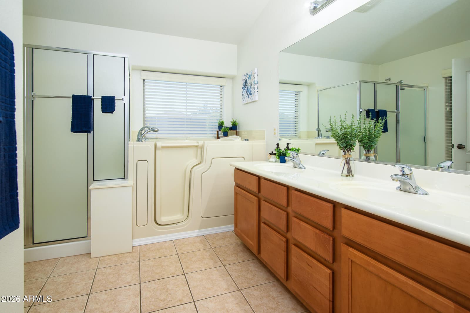 21603 N Dietz Drive, Maricopa, AZ 85138 — photo 23 of 38