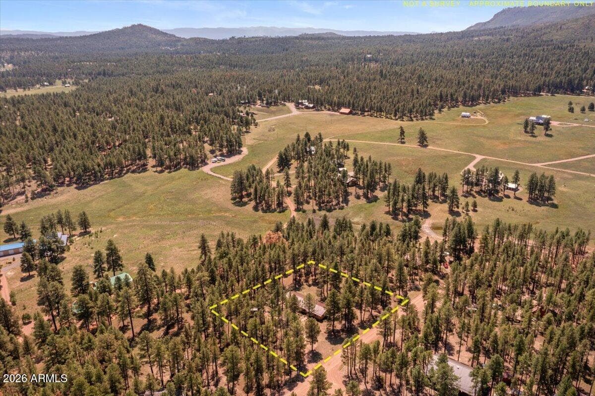 8 Turkey Track Drive, Alpine, AZ 85920 — photo 31 of 34