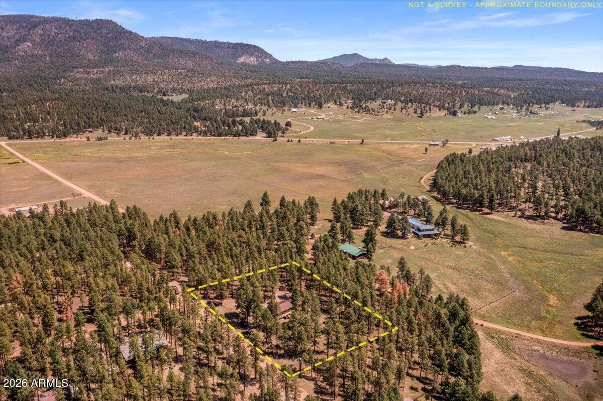 8 Turkey Track Drive, Alpine, AZ 85920 — photo 34 of 34