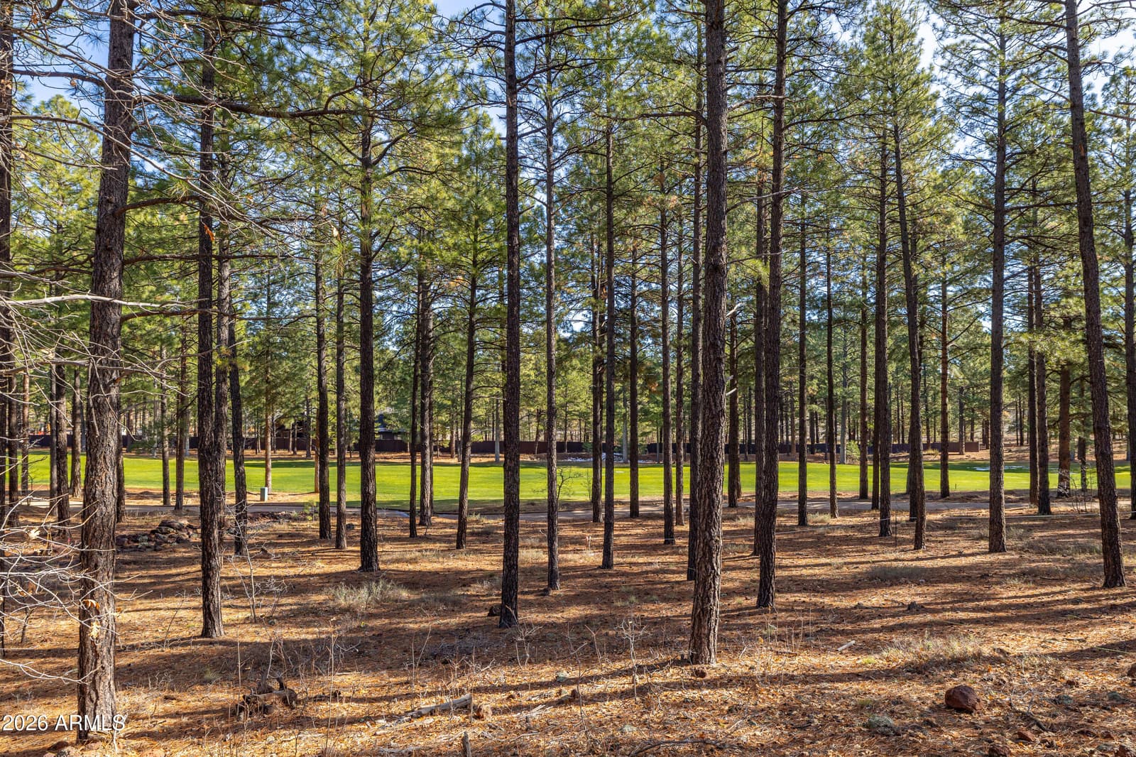 4120 S Lariat Loop, Flagstaff, AZ 86005 — photo 56 of 65