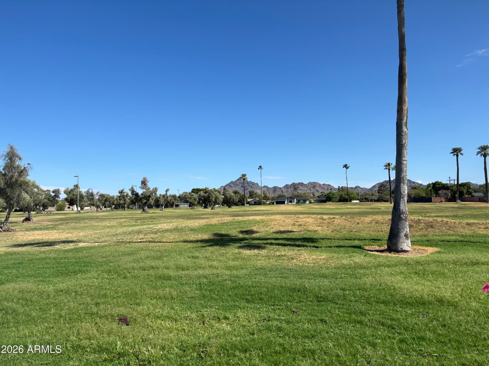 3033 E Devonshire Avenue 2017, Phoenix, AZ 85016 — photo 5 of 17