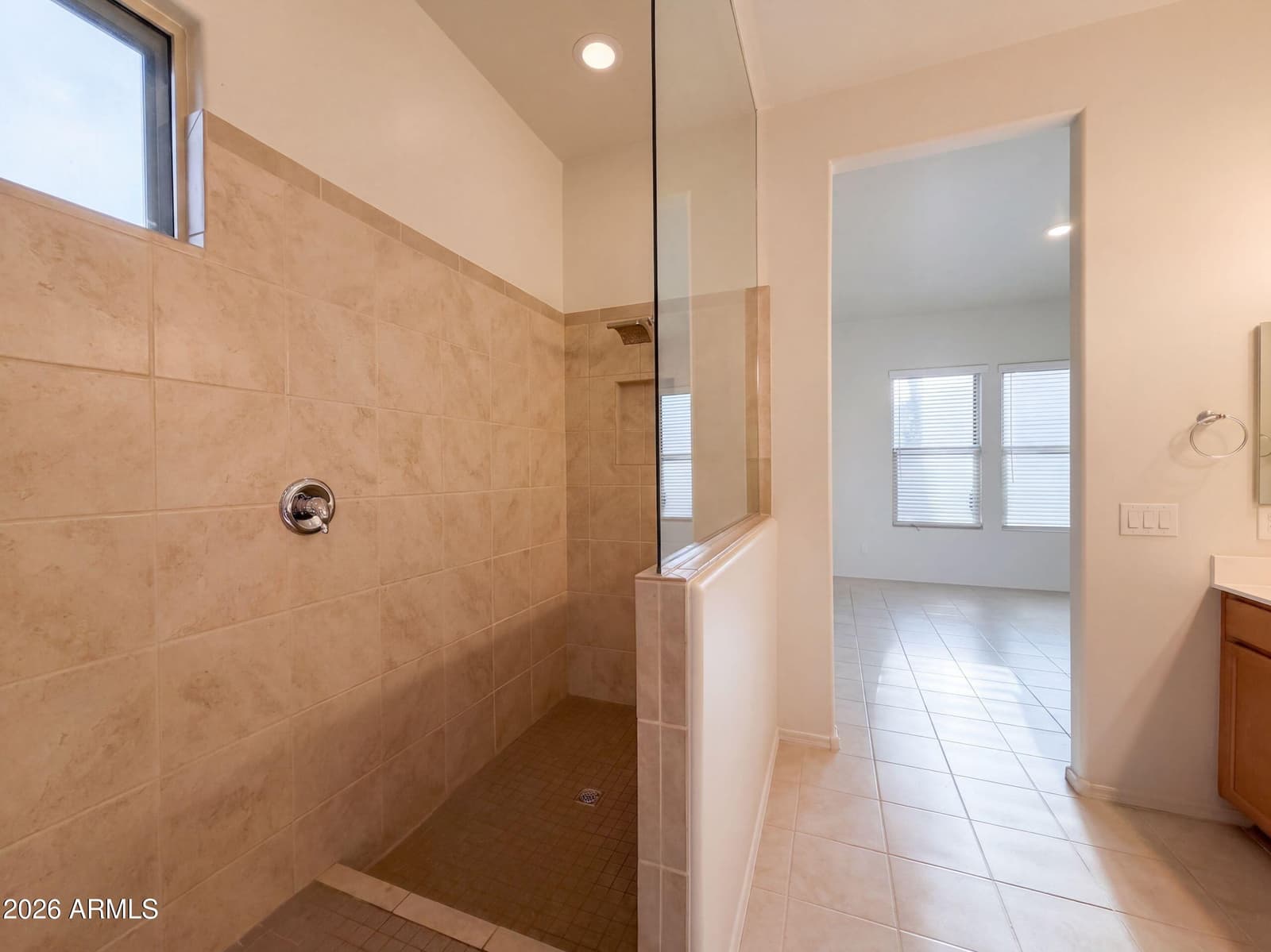 13706 N 144th Drive, Surprise, AZ 85379 — photo 14 of 33