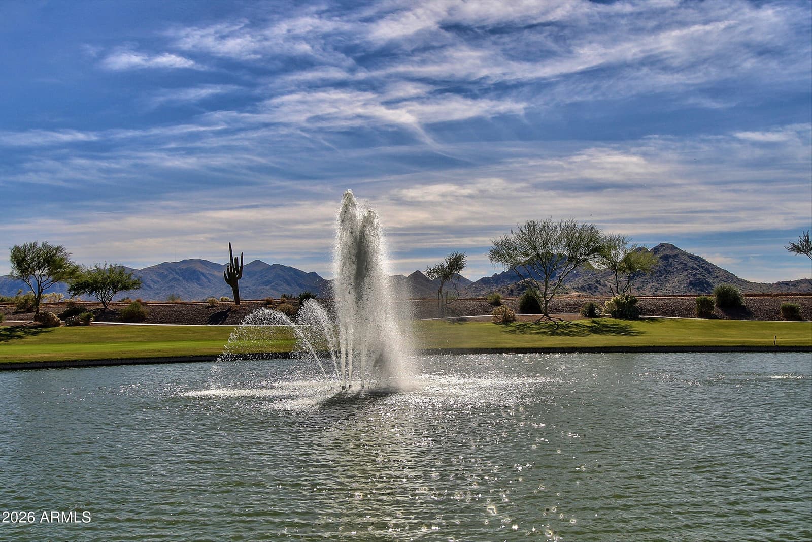 21312 N 262nd Drive, Buckeye, AZ 85396 — photo 33 of 42