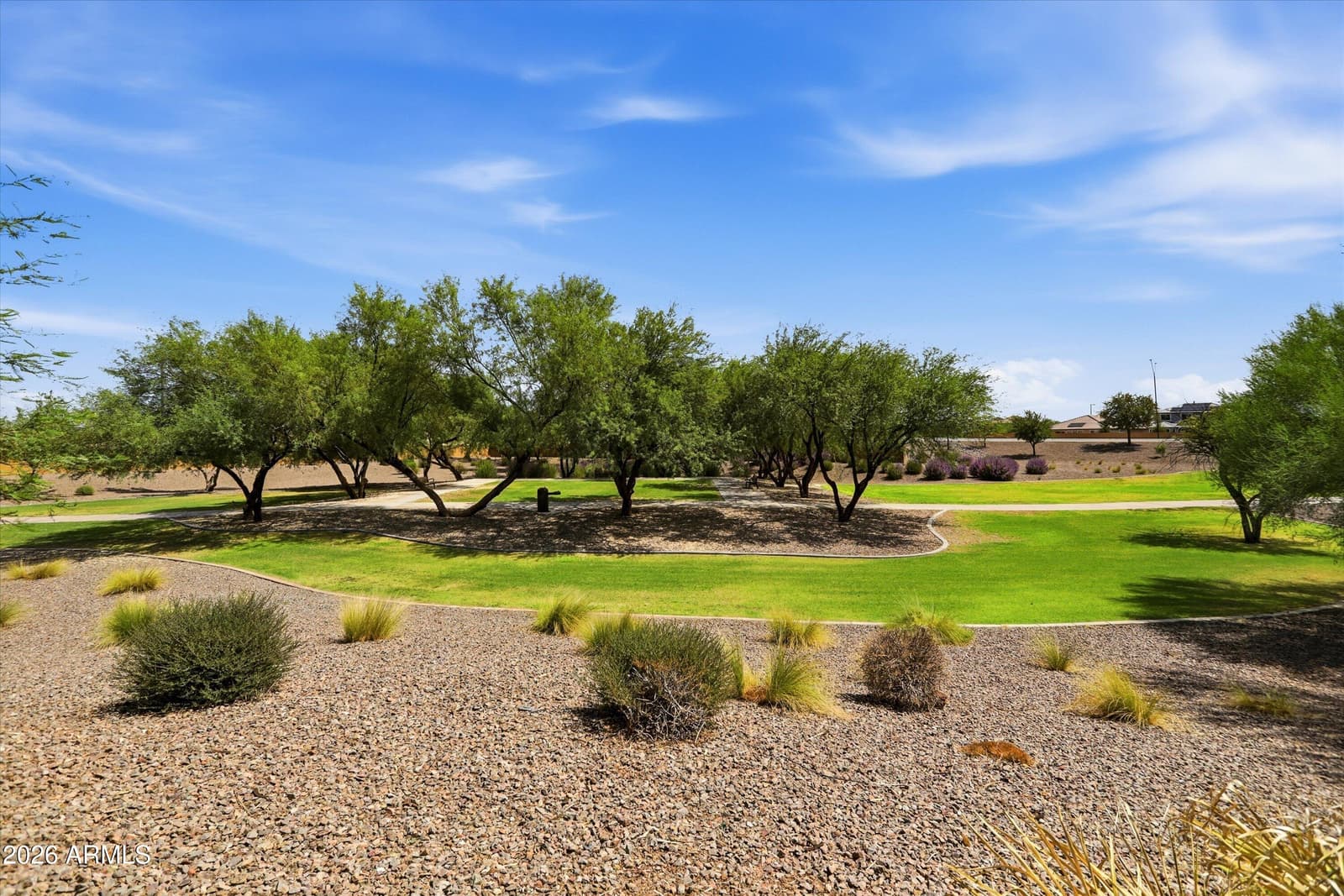 22013 N 261st Lane, Buckeye, AZ 85396 — photo 38 of 112