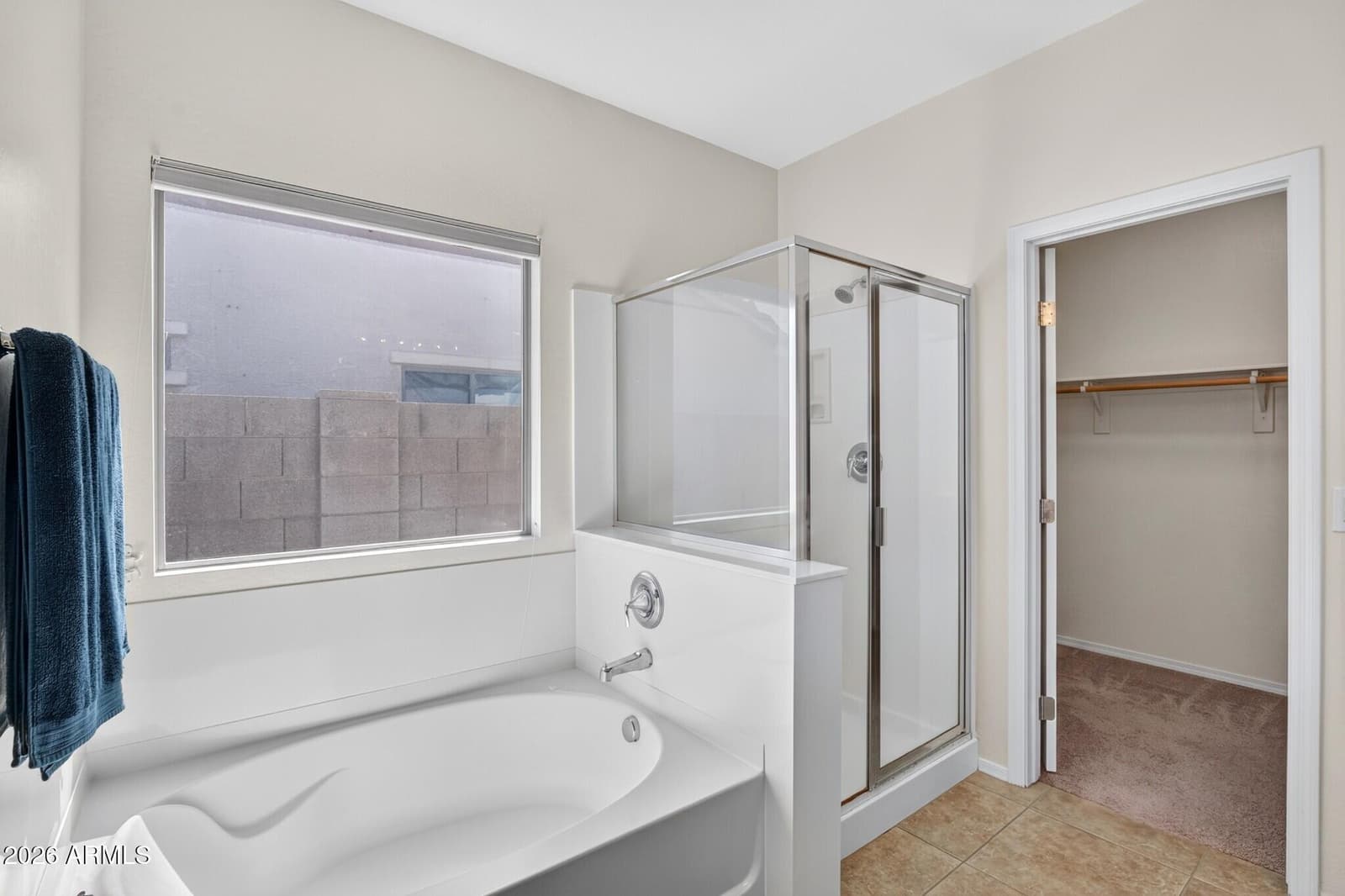 16784 W Magnolia Street, Goodyear, AZ 85338 — photo 18 of 31