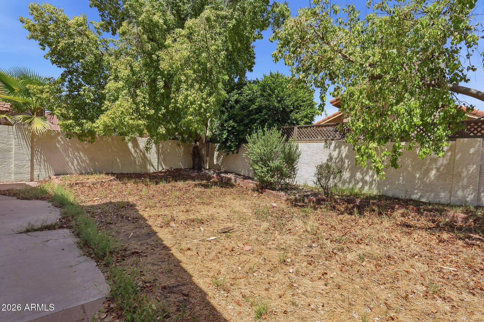 2338 W Orchid Lane, Chandler, AZ 85224 — photo 29 of 30