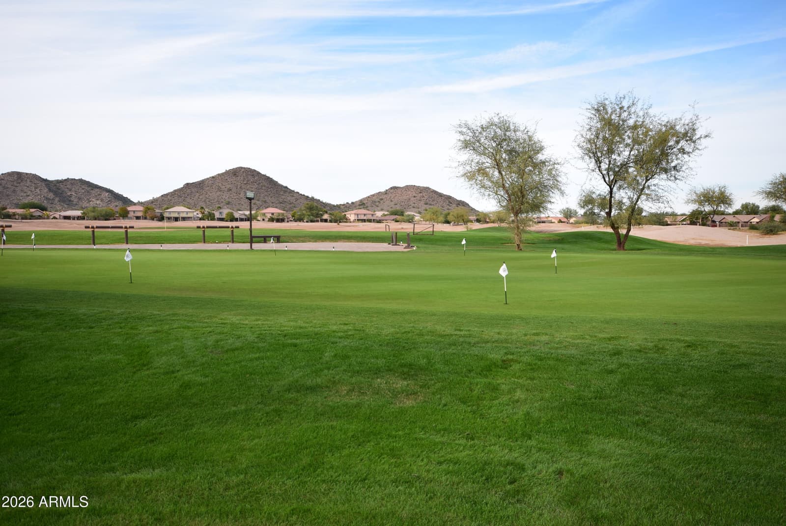 1079 E Country Crossing Way, San Tan Valley, AZ 85143 — photo 46 of 49