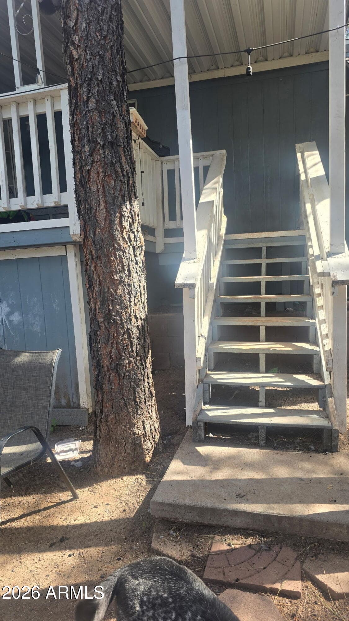 981 N 44th Circle, Show Low, AZ 85901 — photo 5 of 12