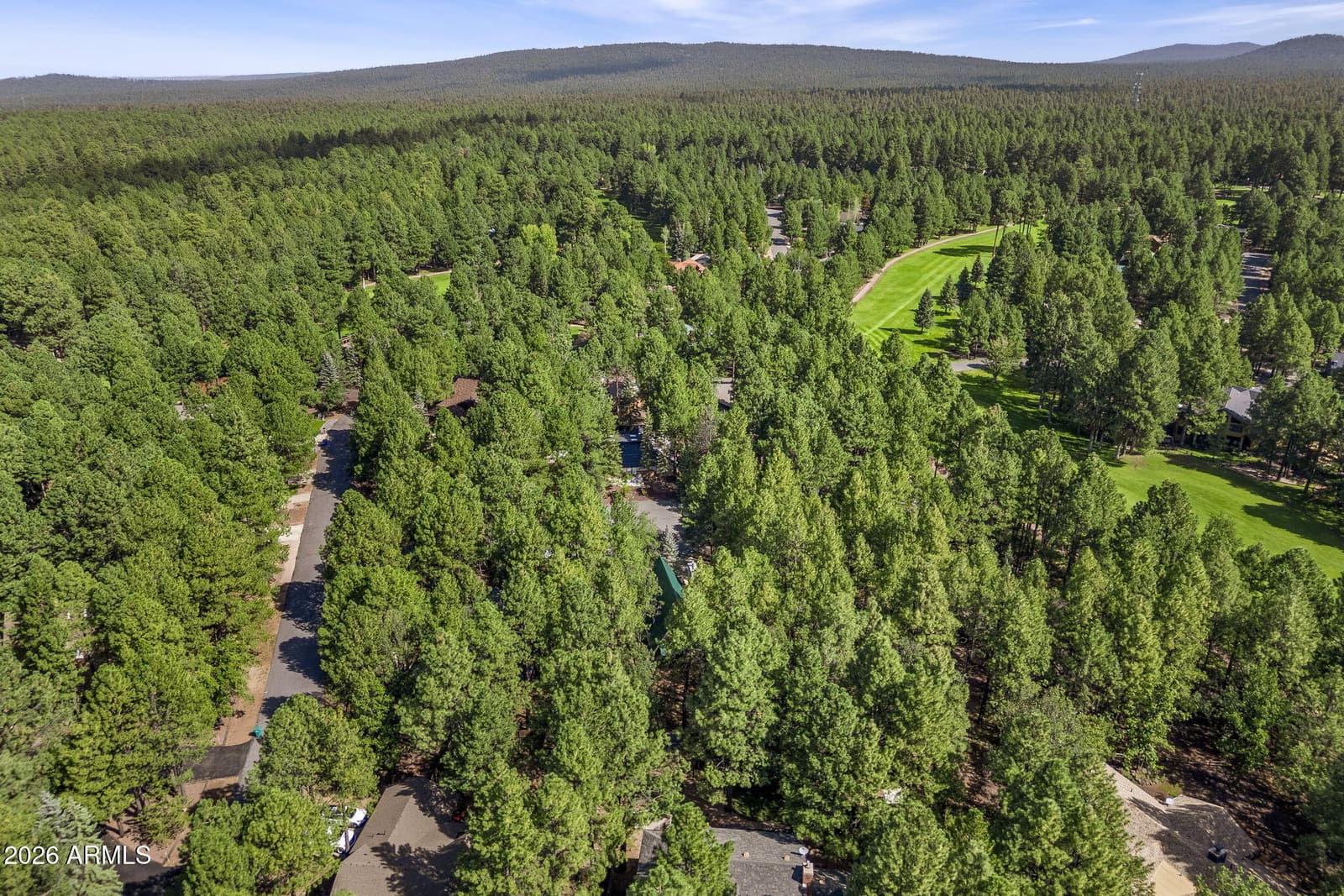 4237 Clear Sky Circle, Pinetop, AZ 85935 — photo 36 of 41