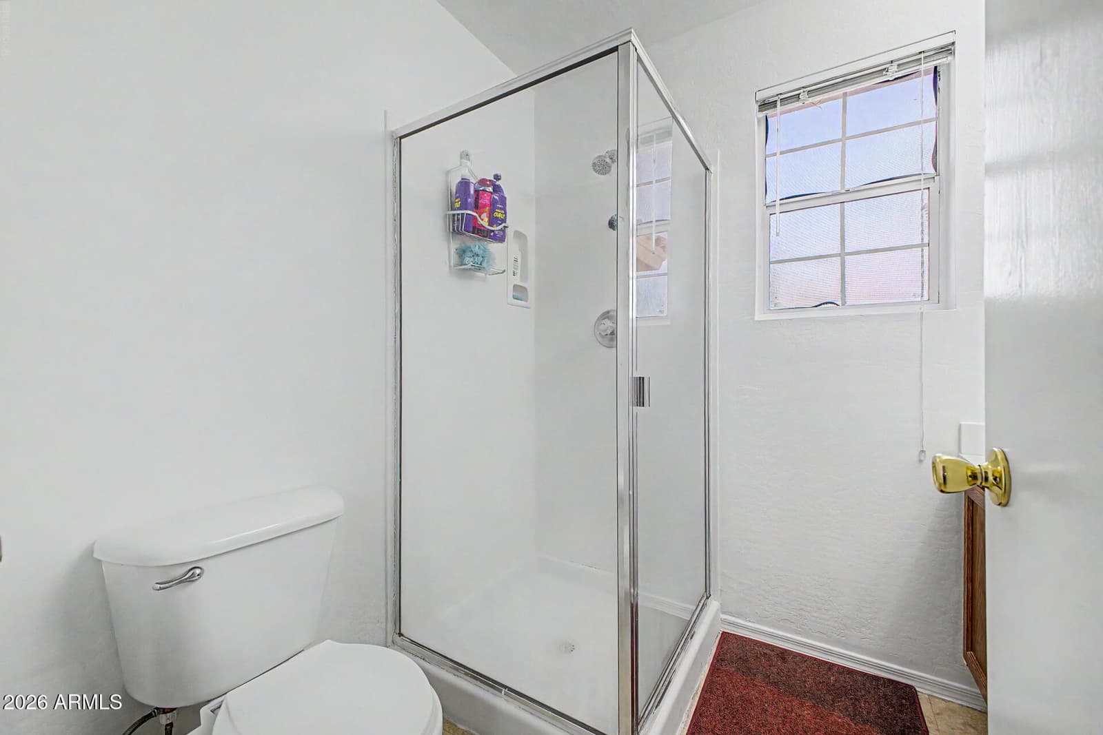 13018 W Laurel Lane, El Mirage, AZ 85335 — photo 24 of 36