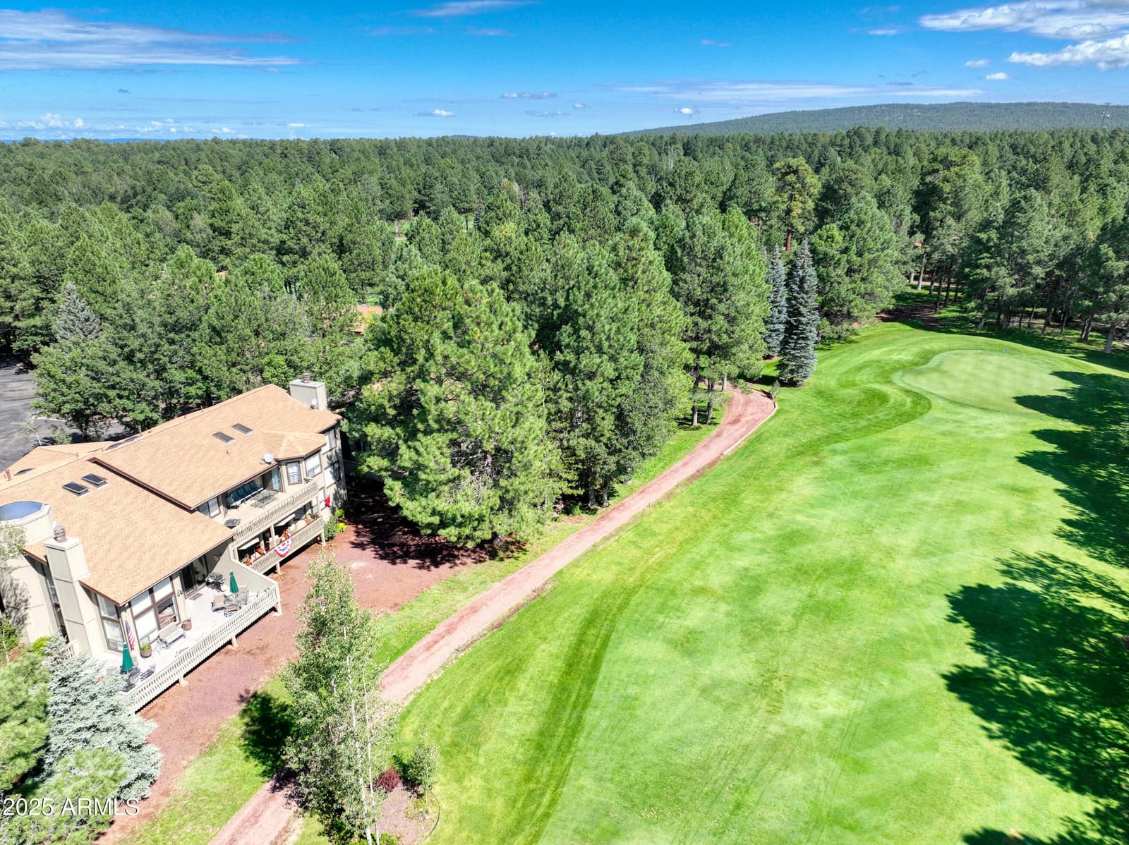 3651 Crown Dancer Drive 8A, Pinetop, AZ 85935 — photo 1 of 35