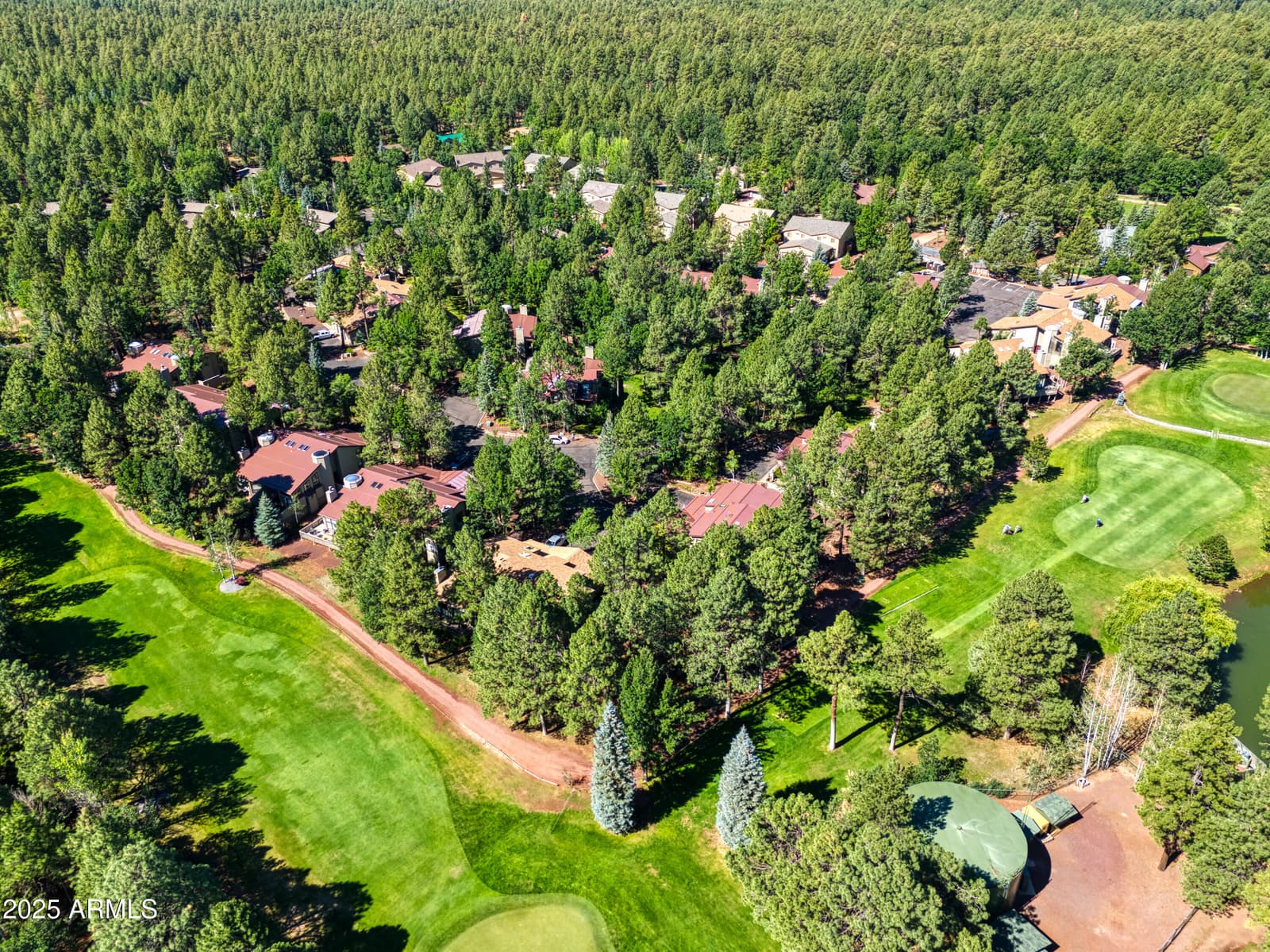 3651 Crown Dancer Drive 8A, Pinetop, AZ 85935 — photo 2 of 35