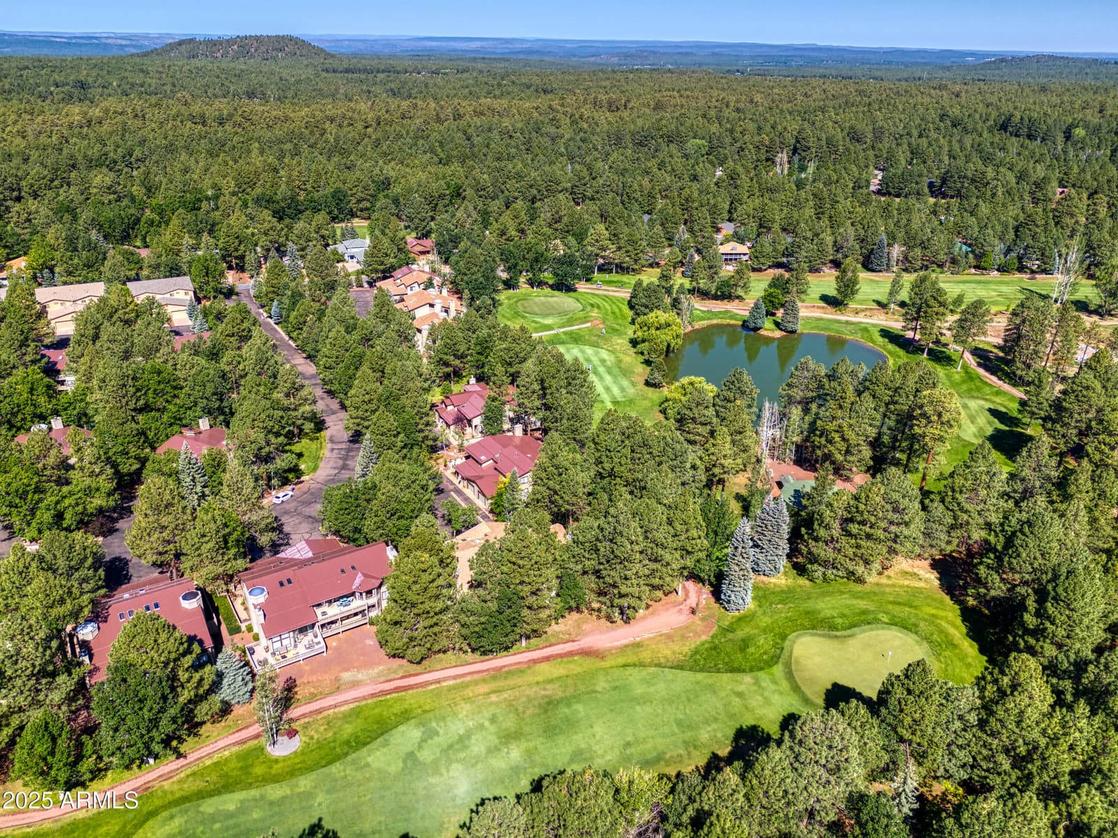 3651 Crown Dancer Drive 8A, Pinetop, AZ 85935 — photo 27 of 35