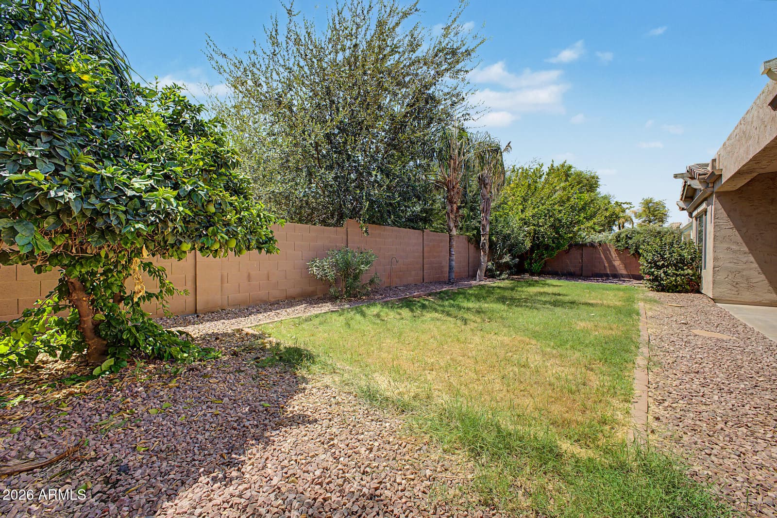667 E Riviera Drive, Chandler, AZ 85249 — photo 28 of 30