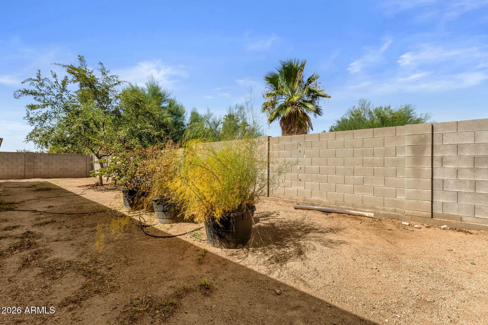 338 N Wesley, Mesa, AZ 85207 — photo 32 of 32