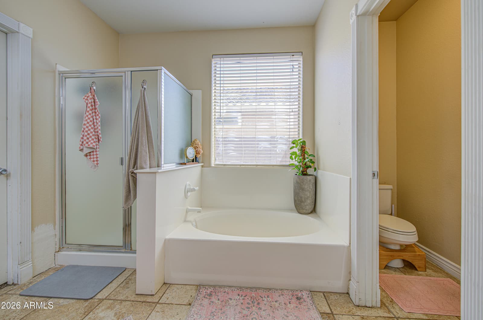502 N Merino, Mesa, AZ 85205 — photo 4 of 51