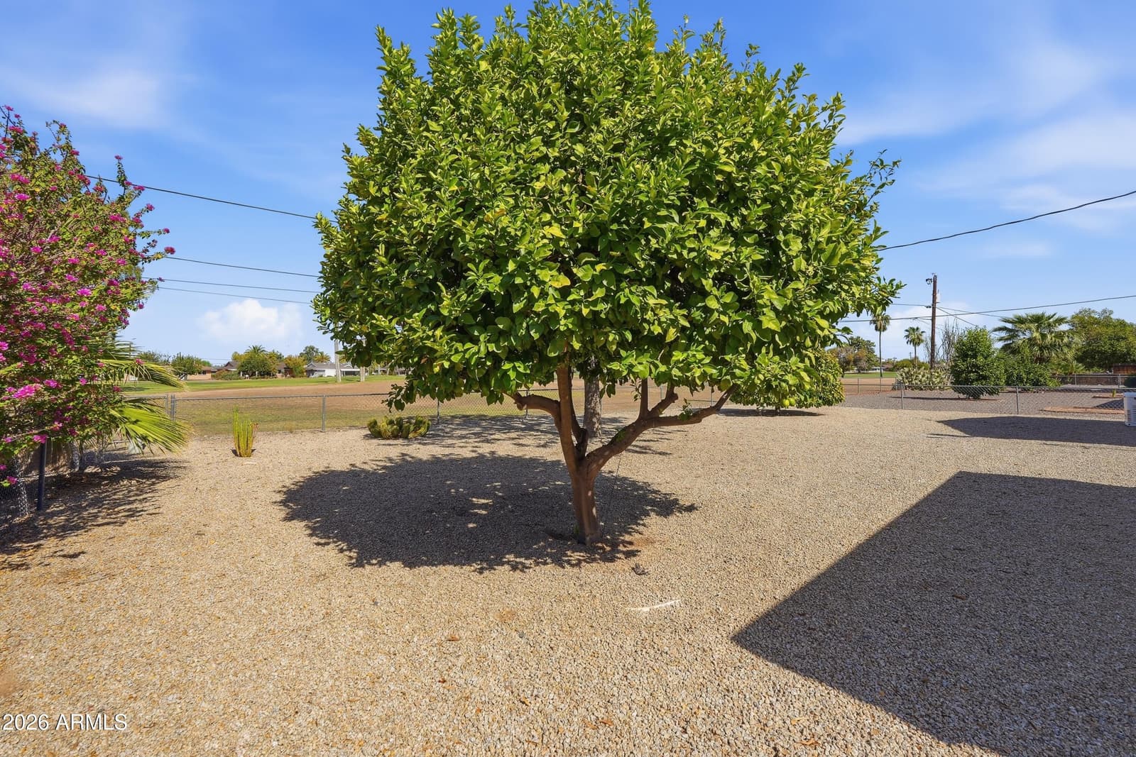 10226 W Palmer Drive, Sun City, AZ 85351 — photo 33 of 41
