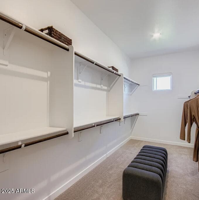 2950 E Cleo Drive, San Tan Valley, AZ 85143 — photo 16 of 29