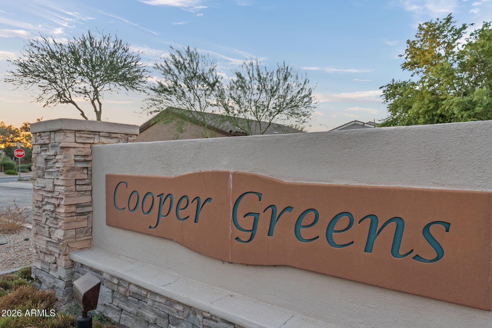 3570 S Tower Avenue, Chandler, AZ 85286 — photo 52 of 52