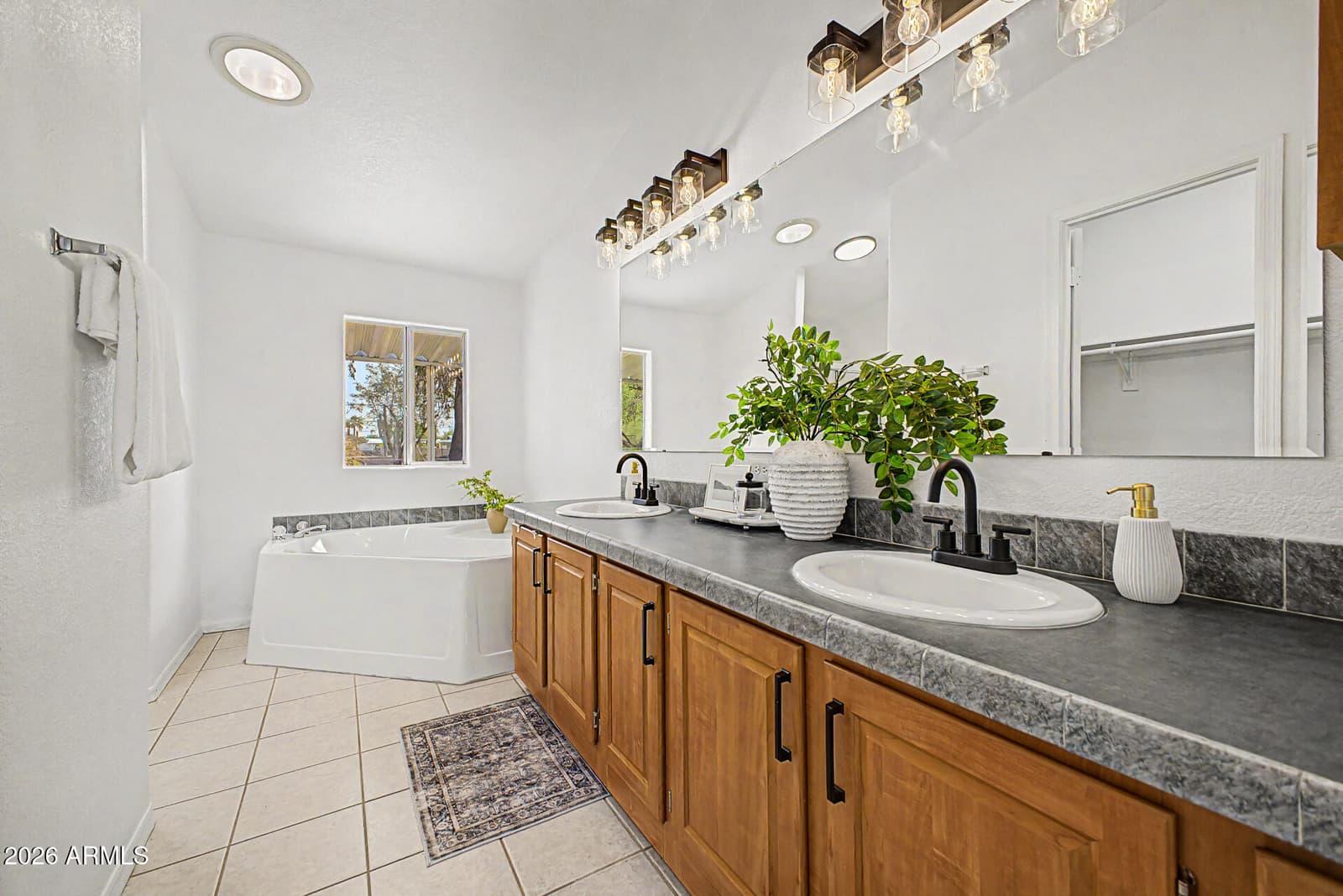 2705 W Mockingbird Street, Apache Junction, AZ 85120 — photo 10 of 19