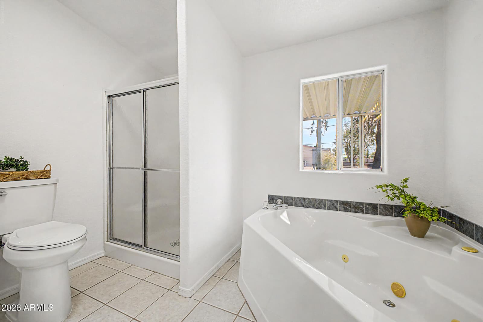 2705 W Mockingbird Street, Apache Junction, AZ 85120 — photo 11 of 19