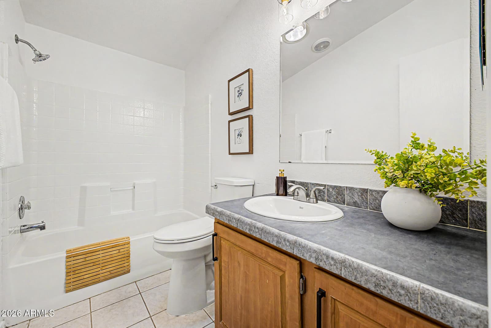 2705 W Mockingbird Street, Apache Junction, AZ 85120 — photo 16 of 19