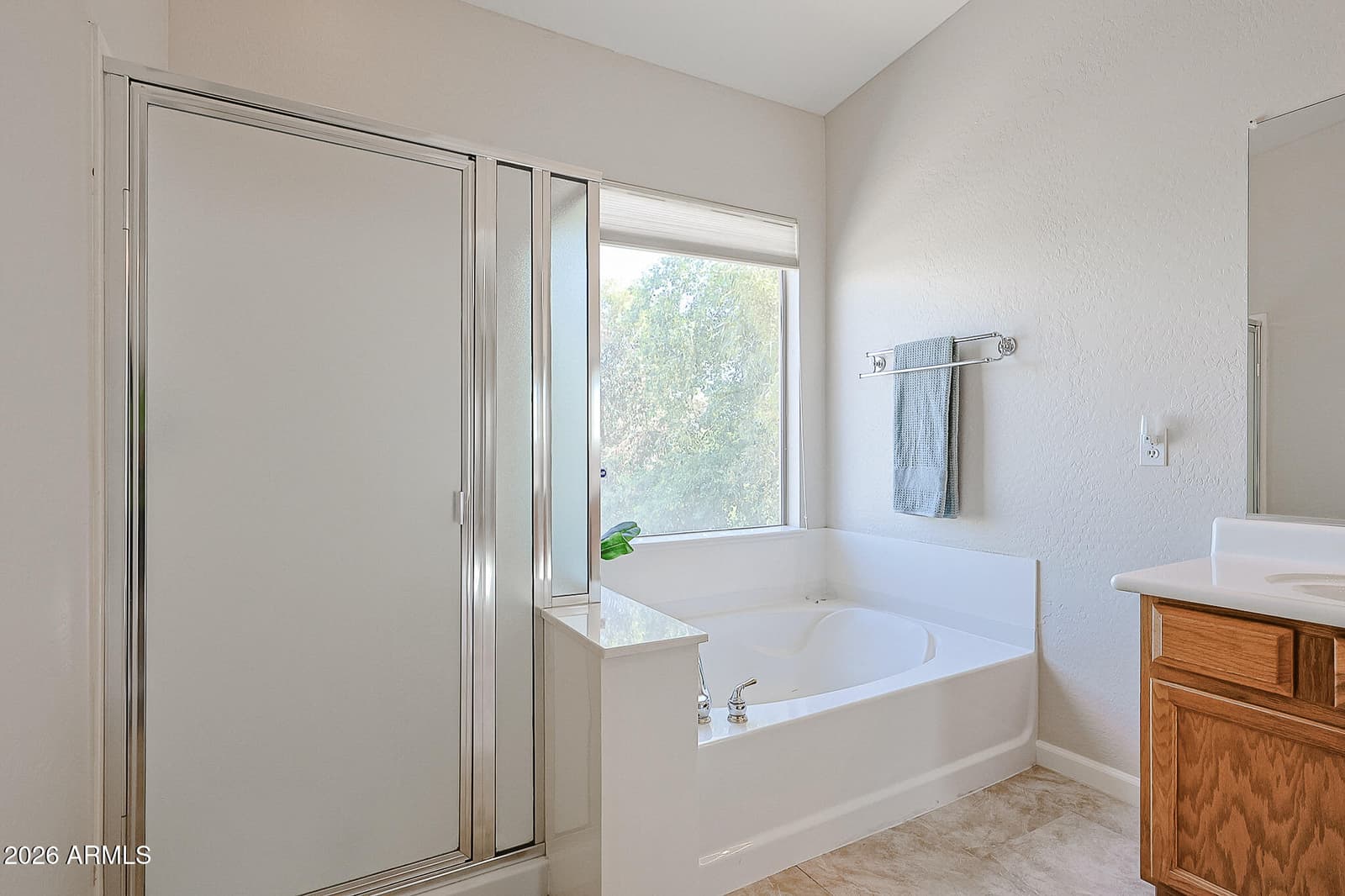 14707 N 138th Lane, Surprise, AZ 85379 — photo 37 of 59