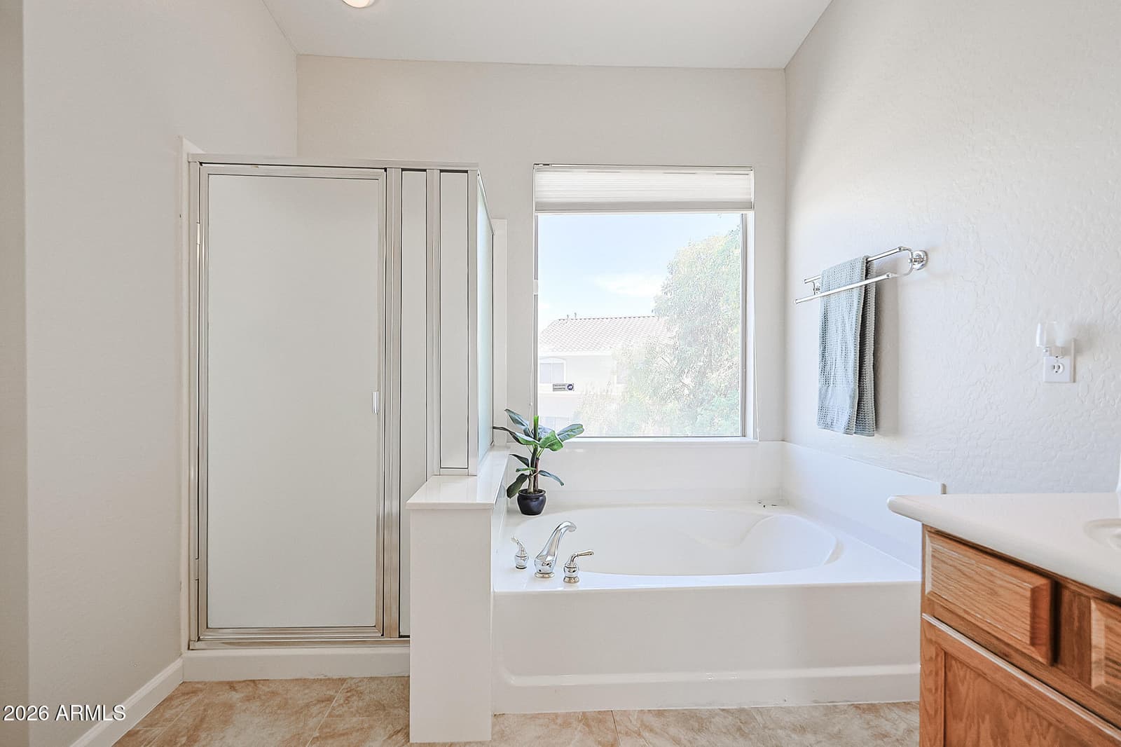 14707 N 138th Lane, Surprise, AZ 85379 — photo 39 of 59