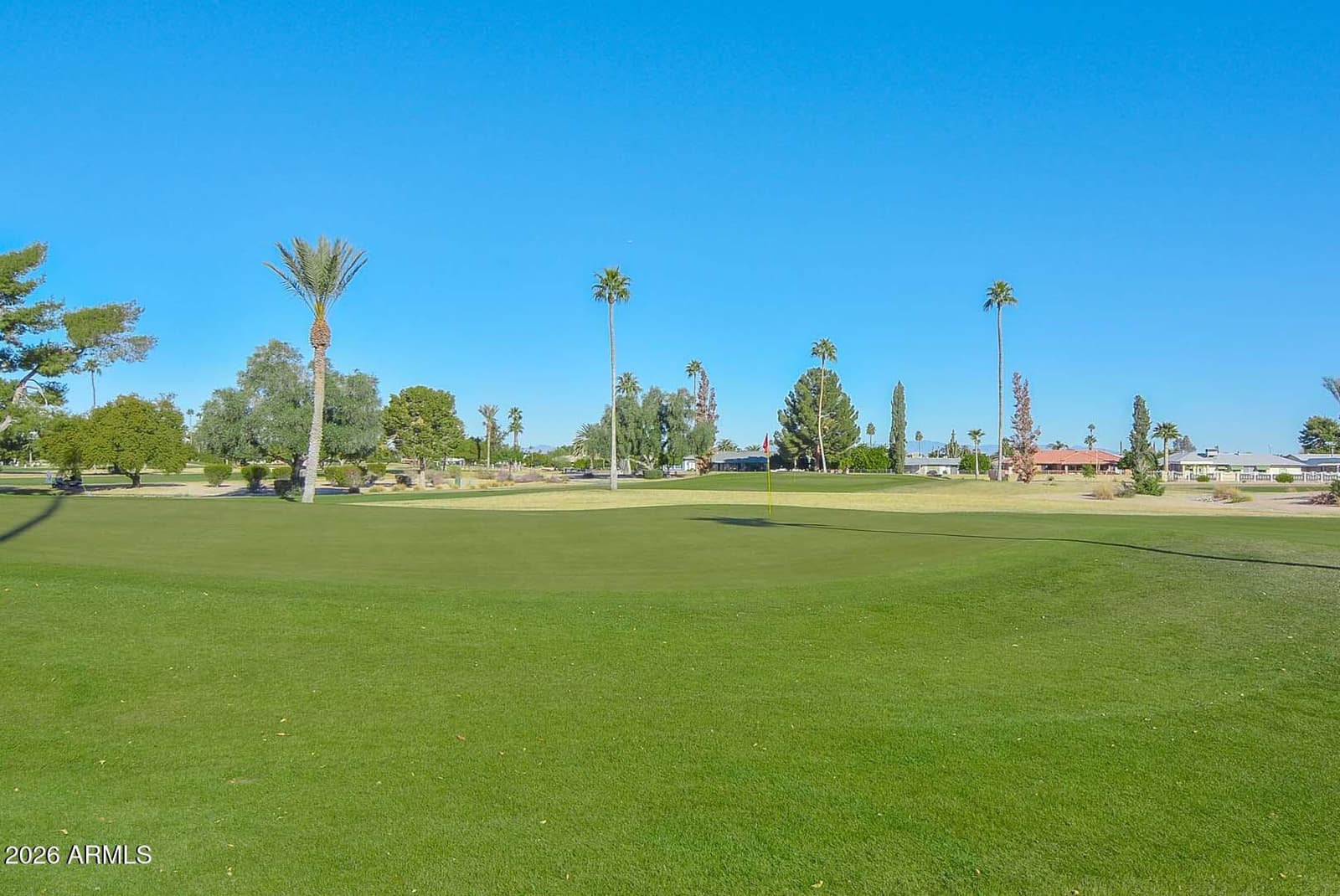 10888 W Emerald Drive, Sun City, AZ 85351 — photo 24 of 29