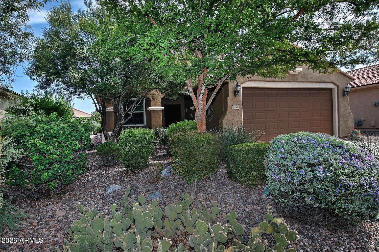 7350 W Silver Spring Way, Florence, AZ 85132 — photo 2 of 87