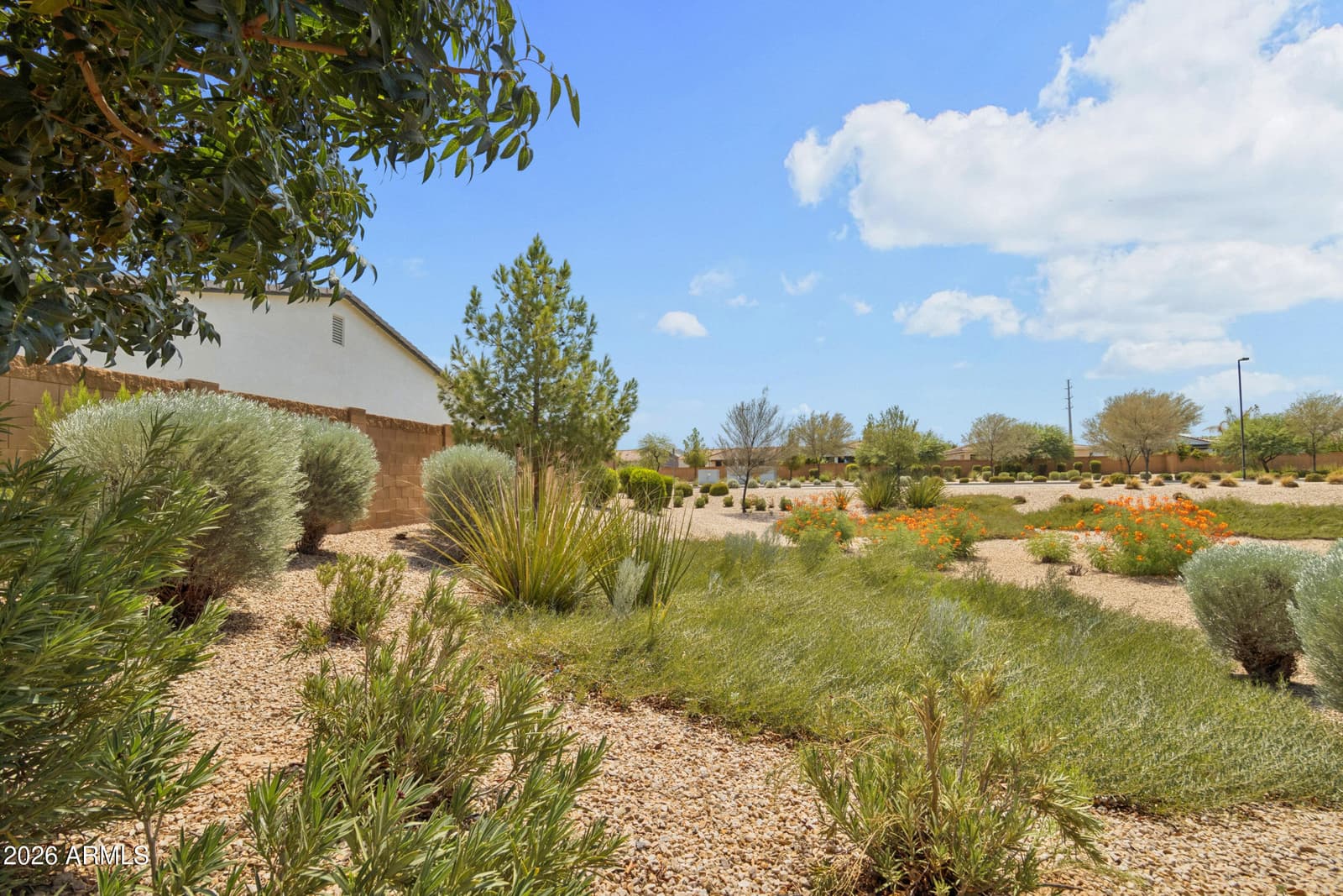 22741 E Via Del Sol, Queen Creek, AZ 85142 — photo 49 of 65