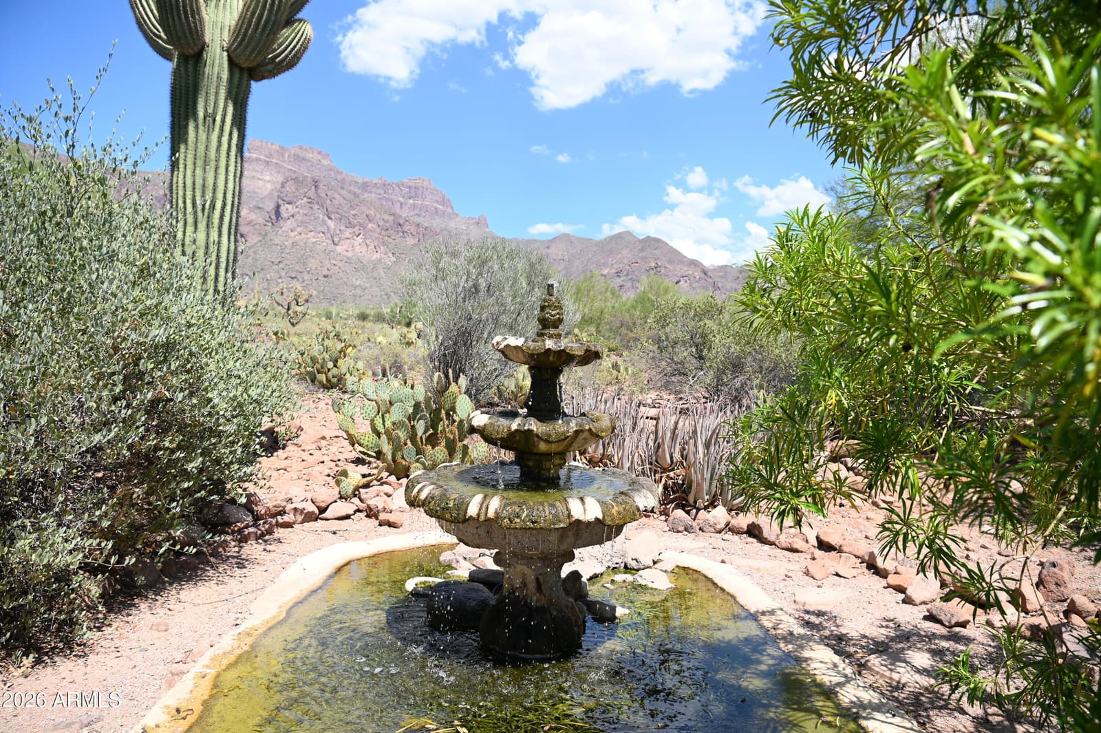 6160 E Roosevelt Street, Apache Junction, AZ 85119 — photo 14 of 47