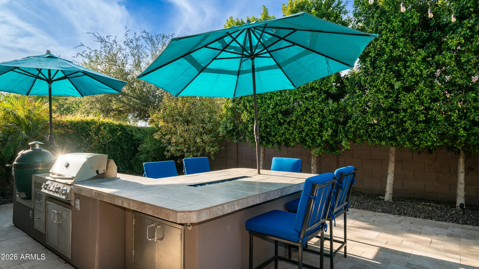 2442 E Plum Street, Gilbert, AZ 85298 — photo 16 of 60