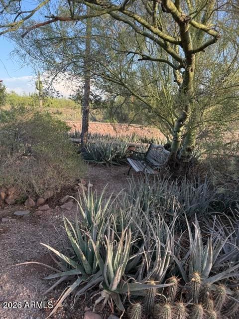 6160 E Roosevelt Street, Apache Junction, AZ 85119 — photo 46 of 47