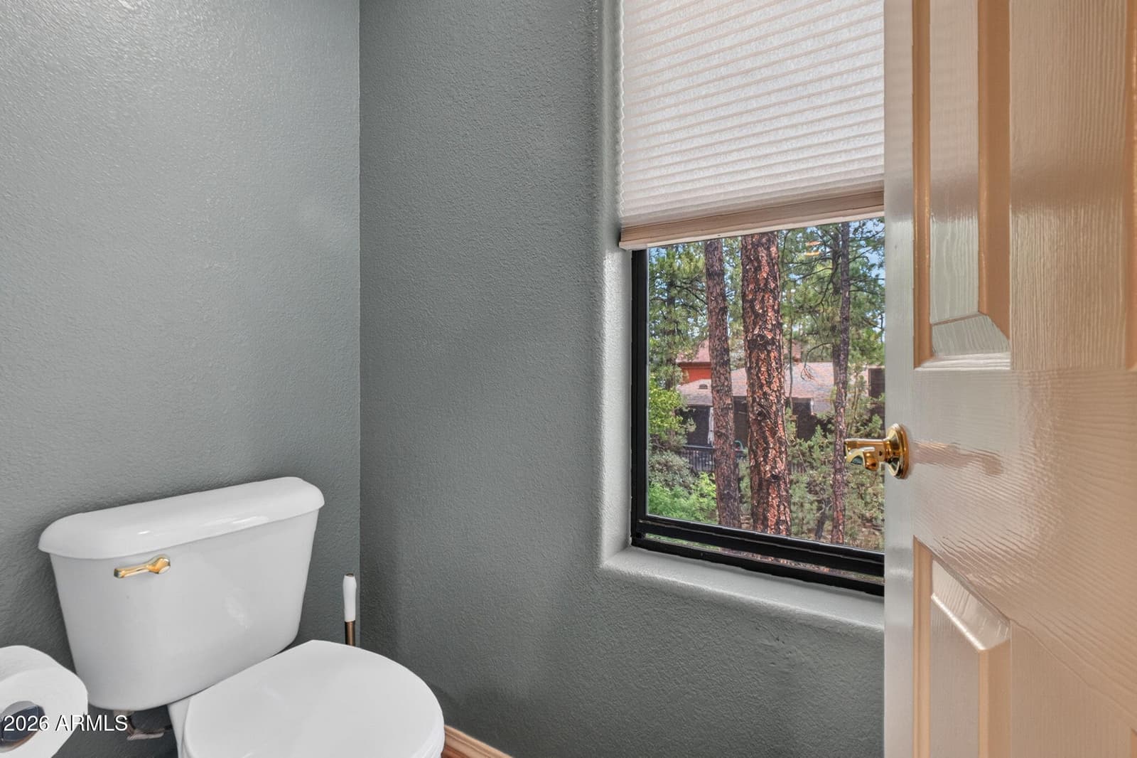 1181 Ravens Court, Prescott, AZ 86303 — photo 31 of 45
