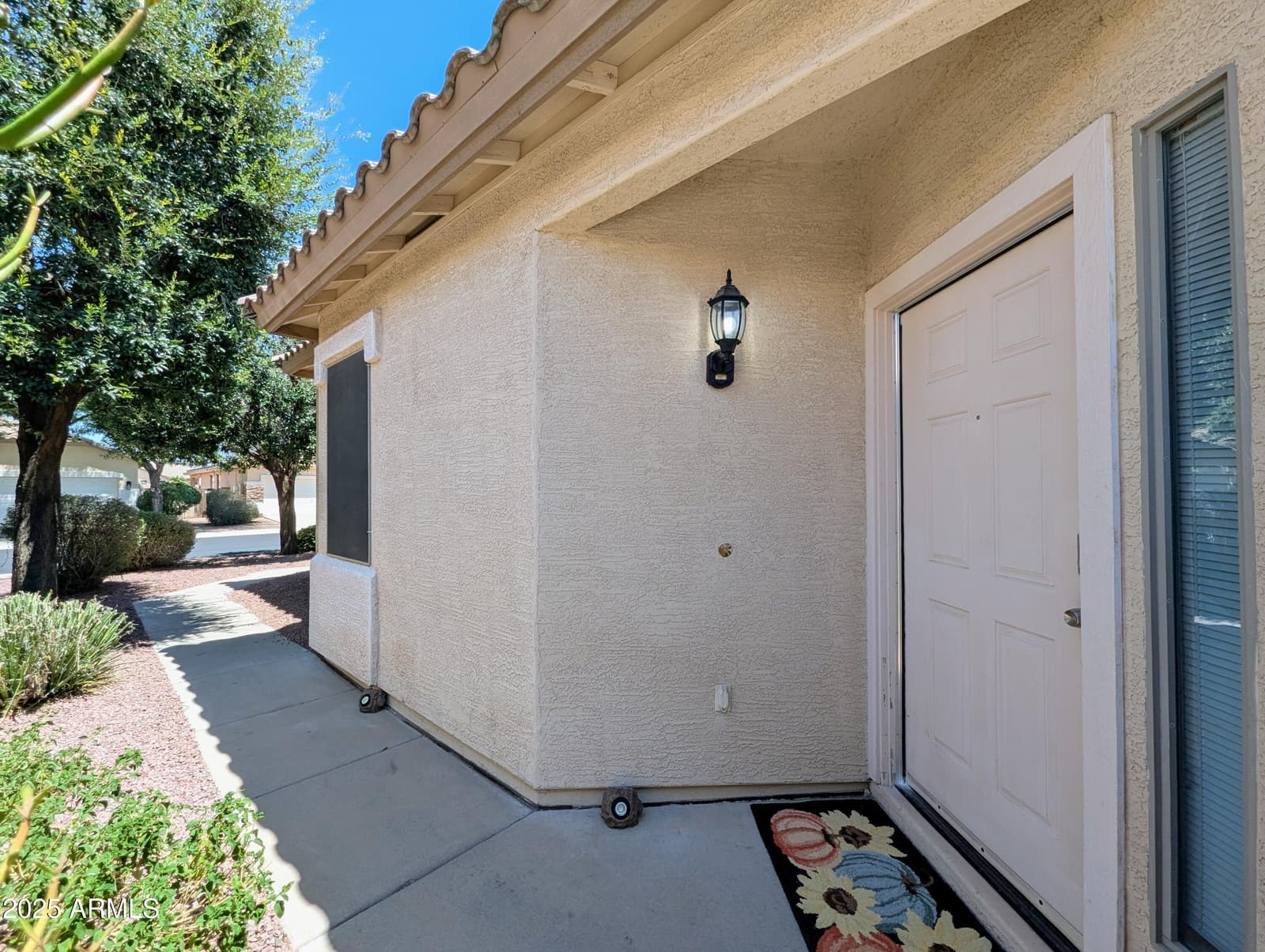 16635 N 169th Avenue, Surprise, AZ 85388 — photo 8 of 60