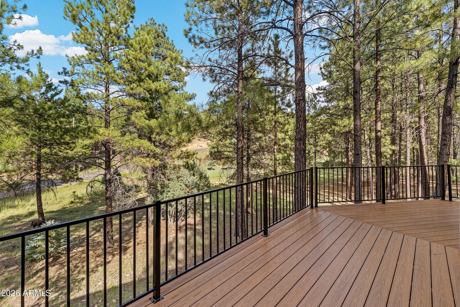 3579 Starlight Drive, Happy Jack, AZ 86024 — photo 38 of 59