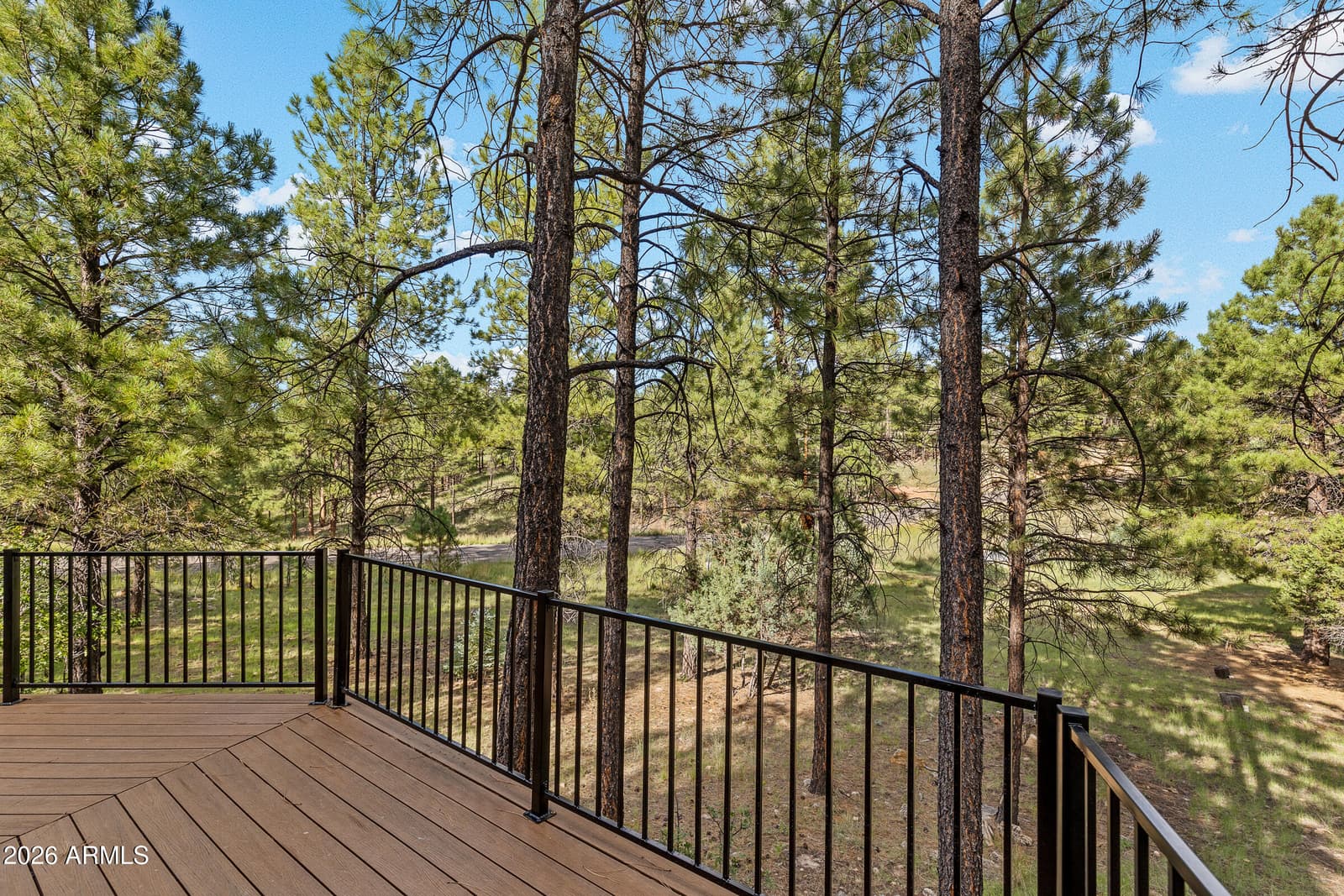 3579 Starlight Drive, Happy Jack, AZ 86024 — photo 39 of 59