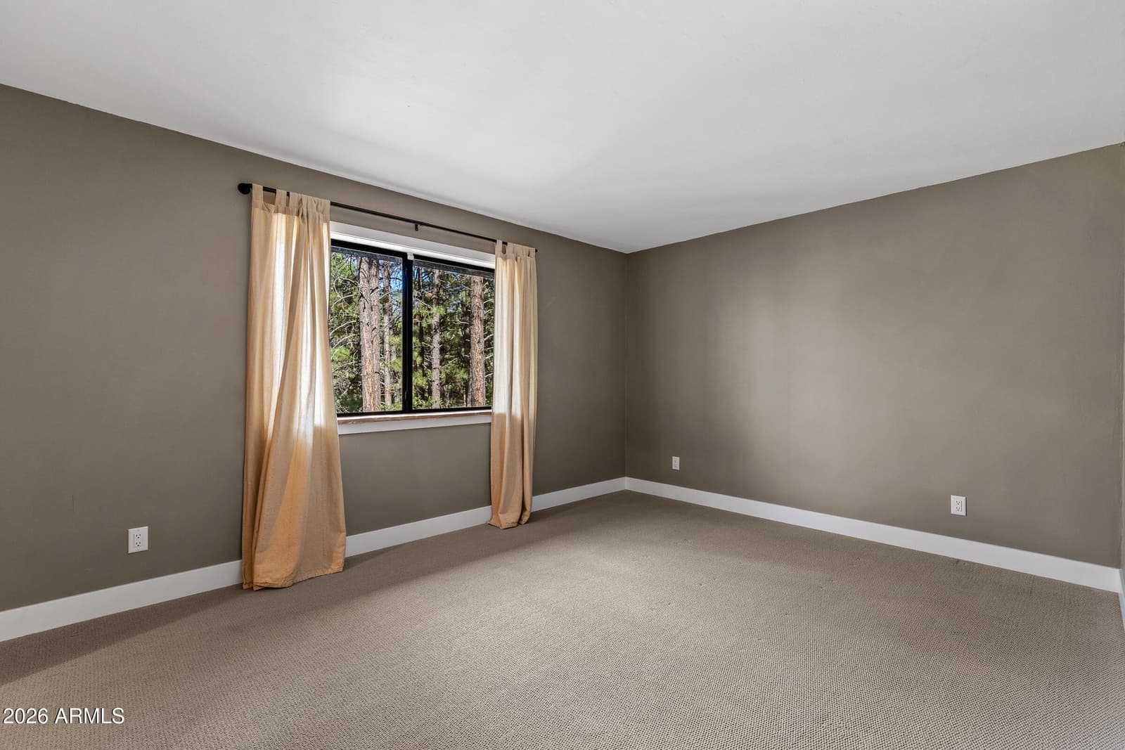 3579 Starlight Drive, Happy Jack, AZ 86024 — photo 31 of 59