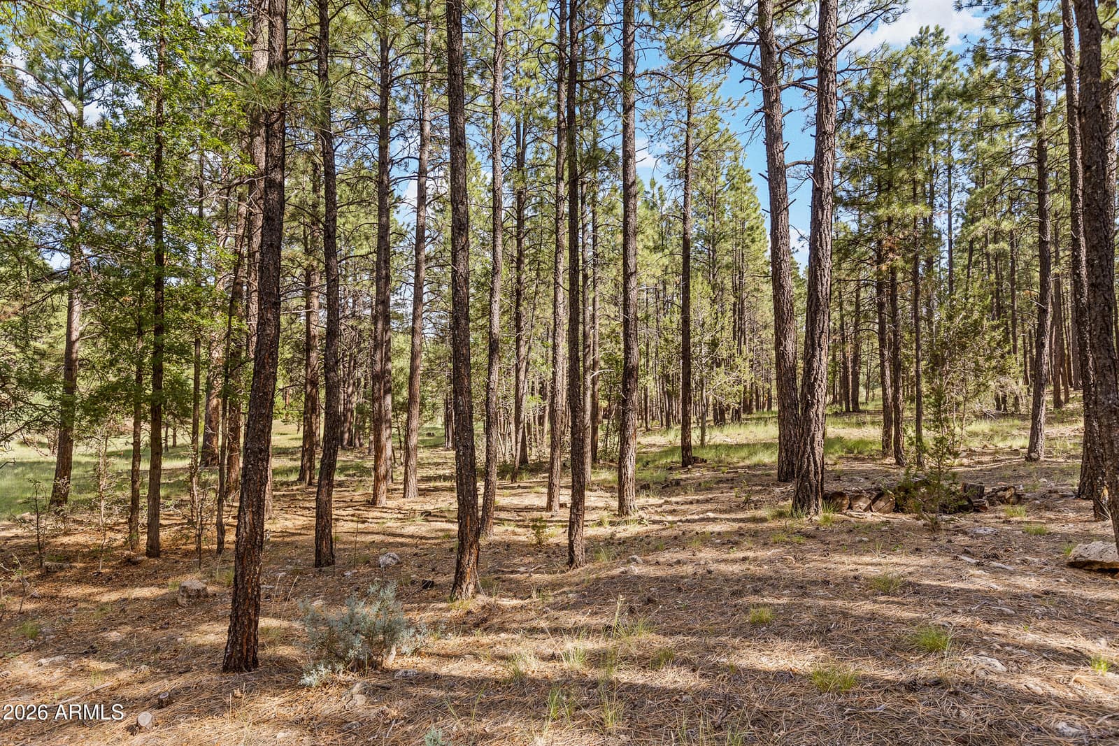 3579 Starlight Drive, Happy Jack, AZ 86024 — photo 57 of 59